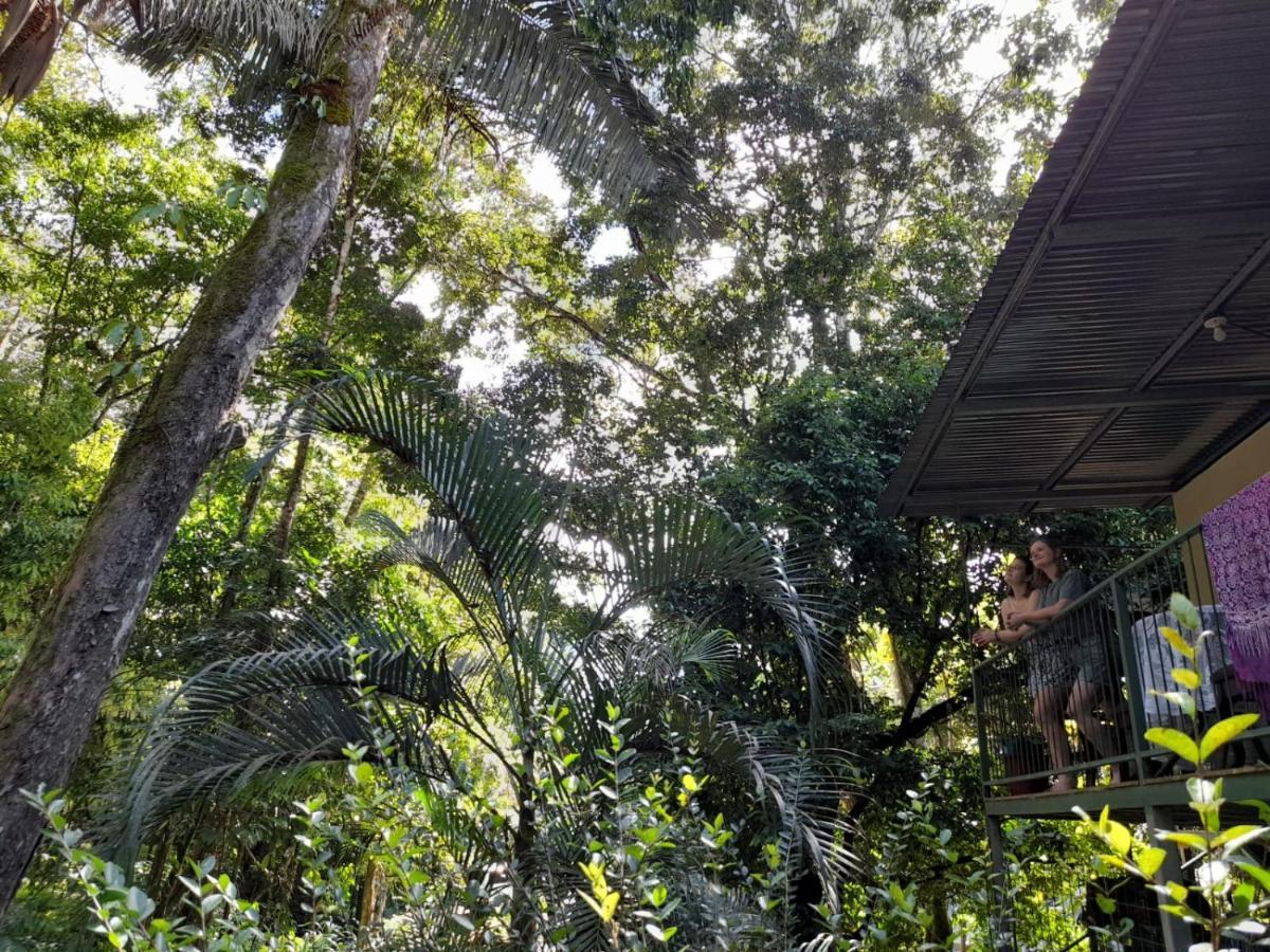 Casa Escondida Apartments Nationalpark Nationalpark Manuel Antonio Exterior foto