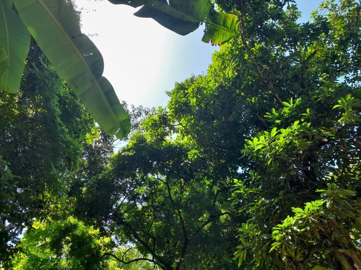 Casa Escondida Apartments Nationalpark Nationalpark Manuel Antonio Exterior foto