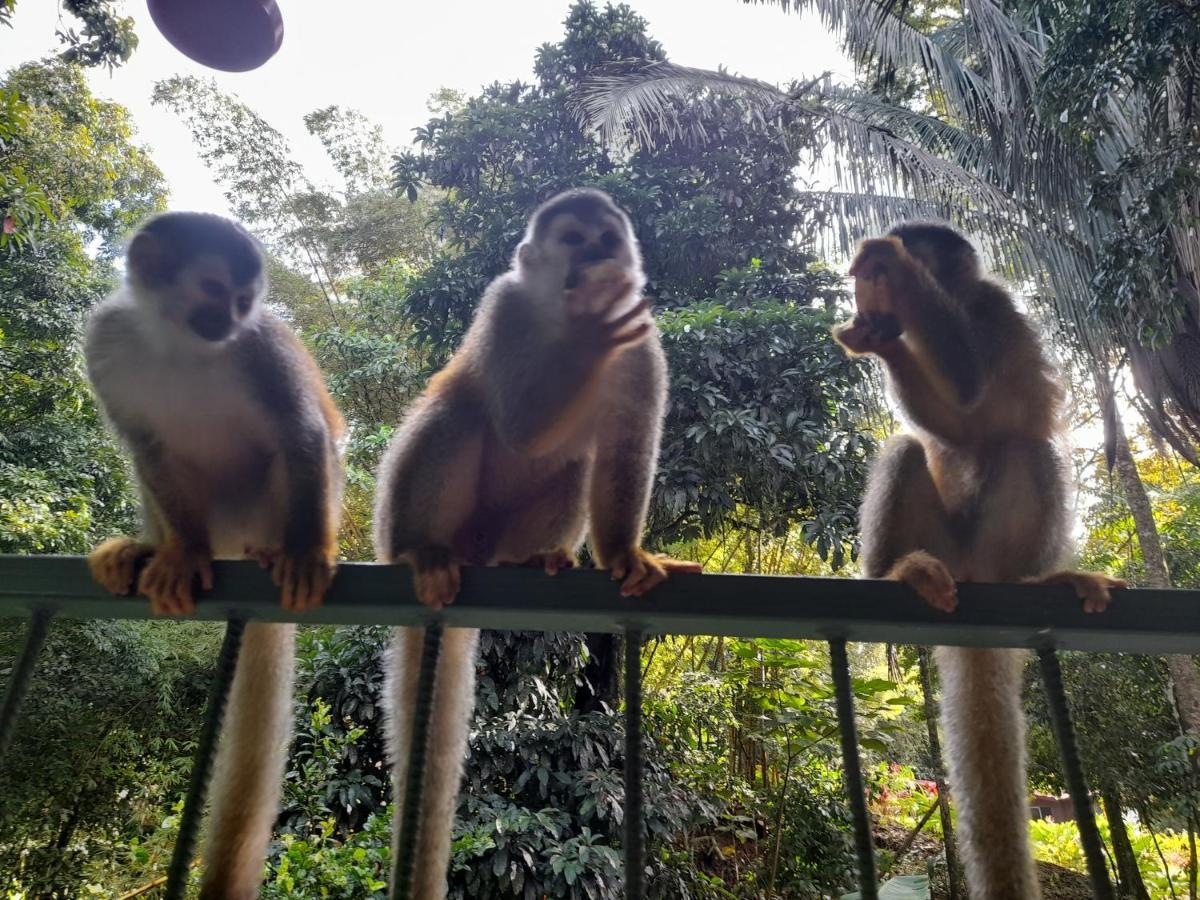 Casa Escondida Apartments Nationalpark Nationalpark Manuel Antonio Exterior foto